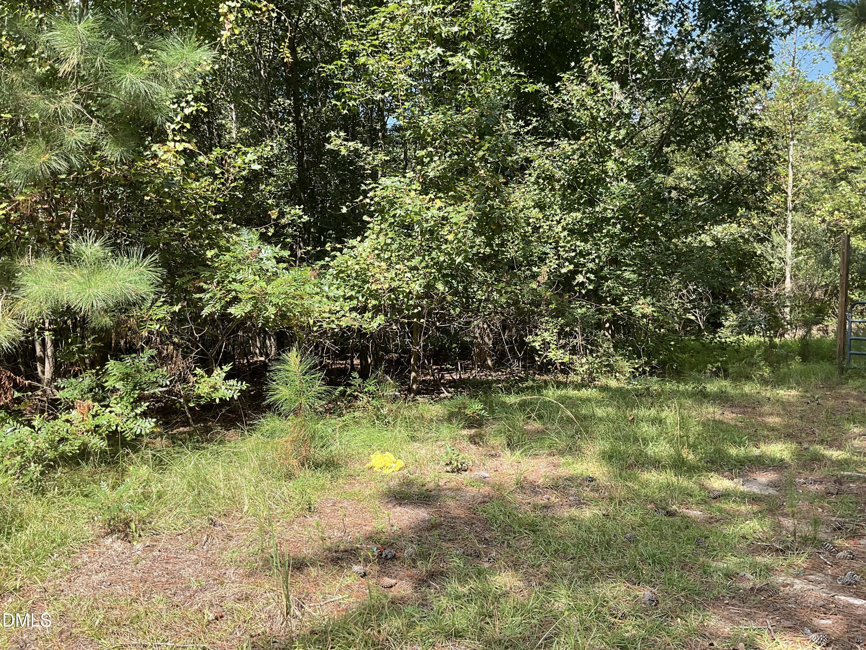 Land in Spring Lake 3