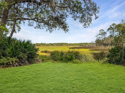 View Of Marsh | Image 1