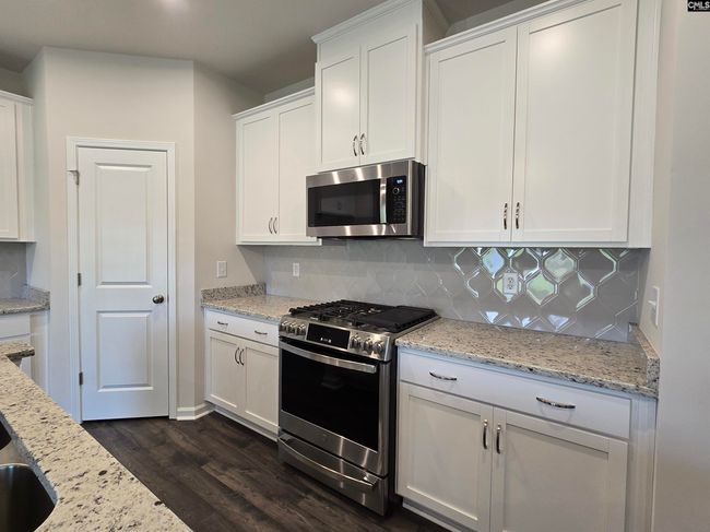 604 Basalt Ct, House other with 3 bedrooms, 3 bathrooms and null parking in Chapin SC | Image 7