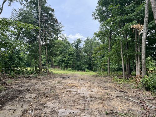 22 Annie Hollow Rd, Westmoreland, TN, 37186-2819 | Card Image
