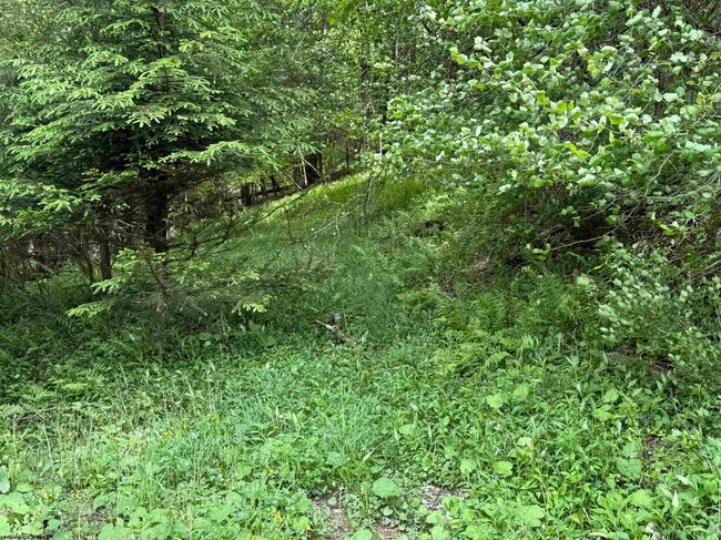 2610 Maple Spring Hwy, House other with 3 bedrooms, 3 bathrooms and 3 parking in Eglon WV | Image 26