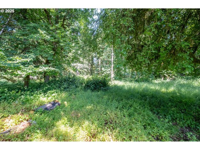 4901 Highway 20, Home with 0 bedrooms, 0 bathrooms and null parking in Sweet Home OR | Image 13