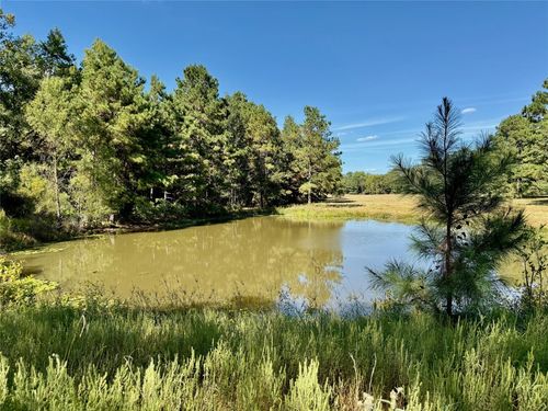 TBD County Road 4025, Lovelady, TX, 75851 | Card Image