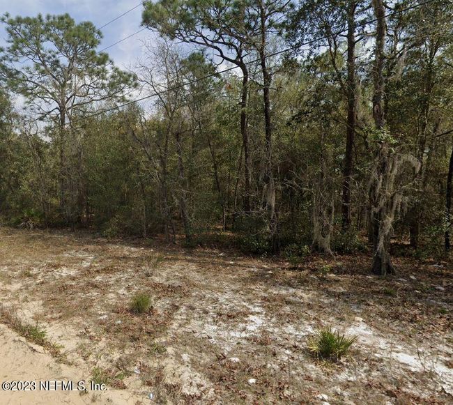 lot 30 O Farrell Avenue, Home with 0 bedrooms, 0 bathrooms and null parking in Interlachen FL | Image 2