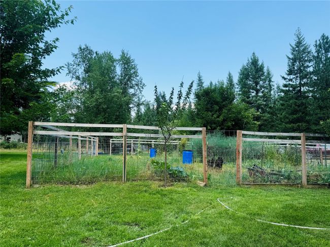 Large vegetable garden | Image 62