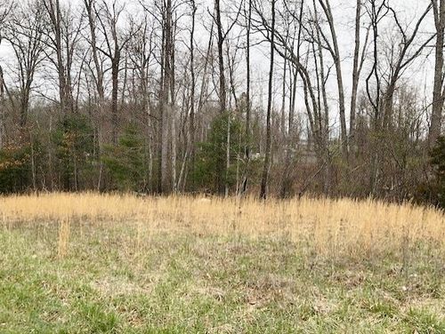 TBD Della Lane, Austinville, VA, 24312 | Card Image
