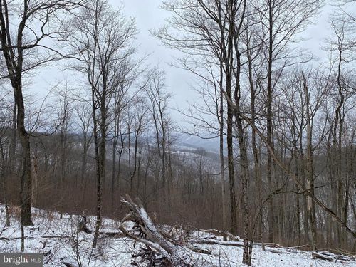 TBD Stemple Ridge Rd, AURORA, WV, 26705 | Card Image