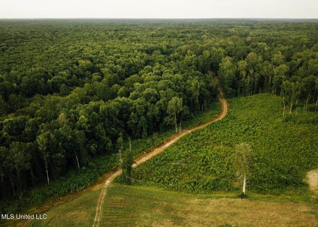 Castens Creek Pics-47 | Image 19