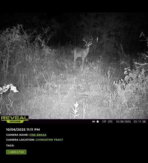 0 Brinson Air Base Rd, Brinson, GA, 39825 | Card Image