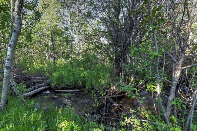 5845 Dry Creek Ranch Rd, House other with 3 bedrooms, 3 bathrooms and null parking in Whitehall MT | Image 63
