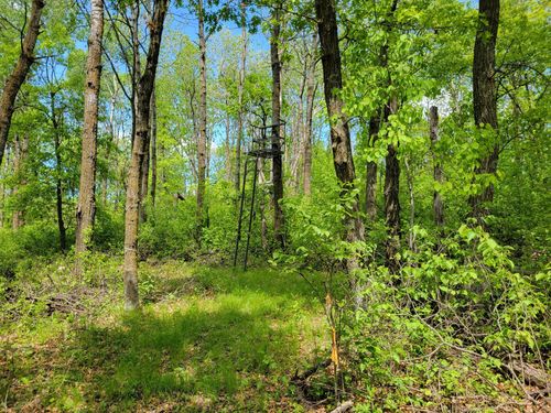 TBD 510th Ave, Henning, MN, 56551 | Card Image