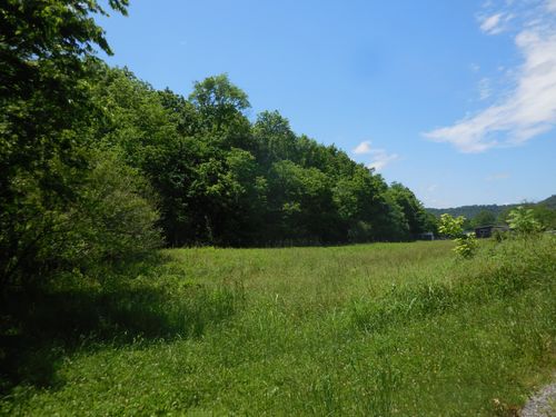 1222 Hopkins Hollow Rd, Gainesboro, TN, 38562-5722 | Card Image