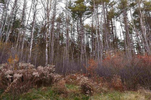 0 Us Route 5 S, Norwich, VT, 05055 | Card Image