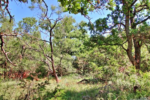 LOT 6 Texas Hill Country Trl, Willow City, TX, 78675 | Card Image