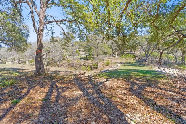 105 Camp Springs Ln, Home with 0 bedrooms, 0 bathrooms and null parking in Georgetown TX | Image 24