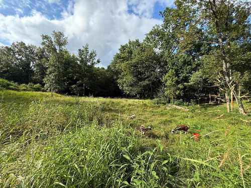 300 Lee Dr, Beaver Dam, KY, 42320-9420 | Card Image