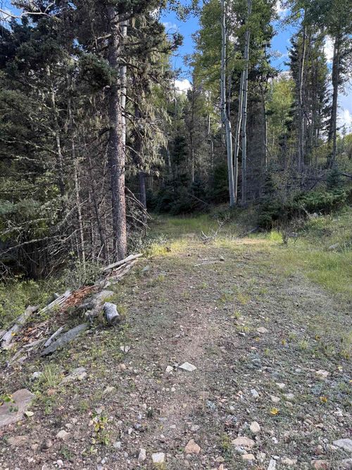 Lot 77 Via De Maria, Angel Fire, NM, 87710 | Card Image