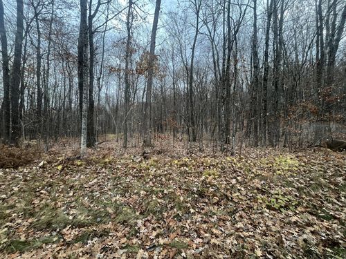 TBD N Ham Lake Ln, Stone Lake, WI, 54876 | Card Image