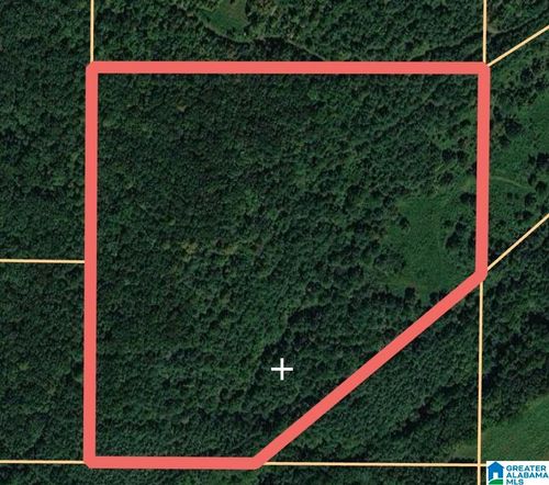 0-0 Jones Chapel Rd, Springville, AL, 35146 | Card Image