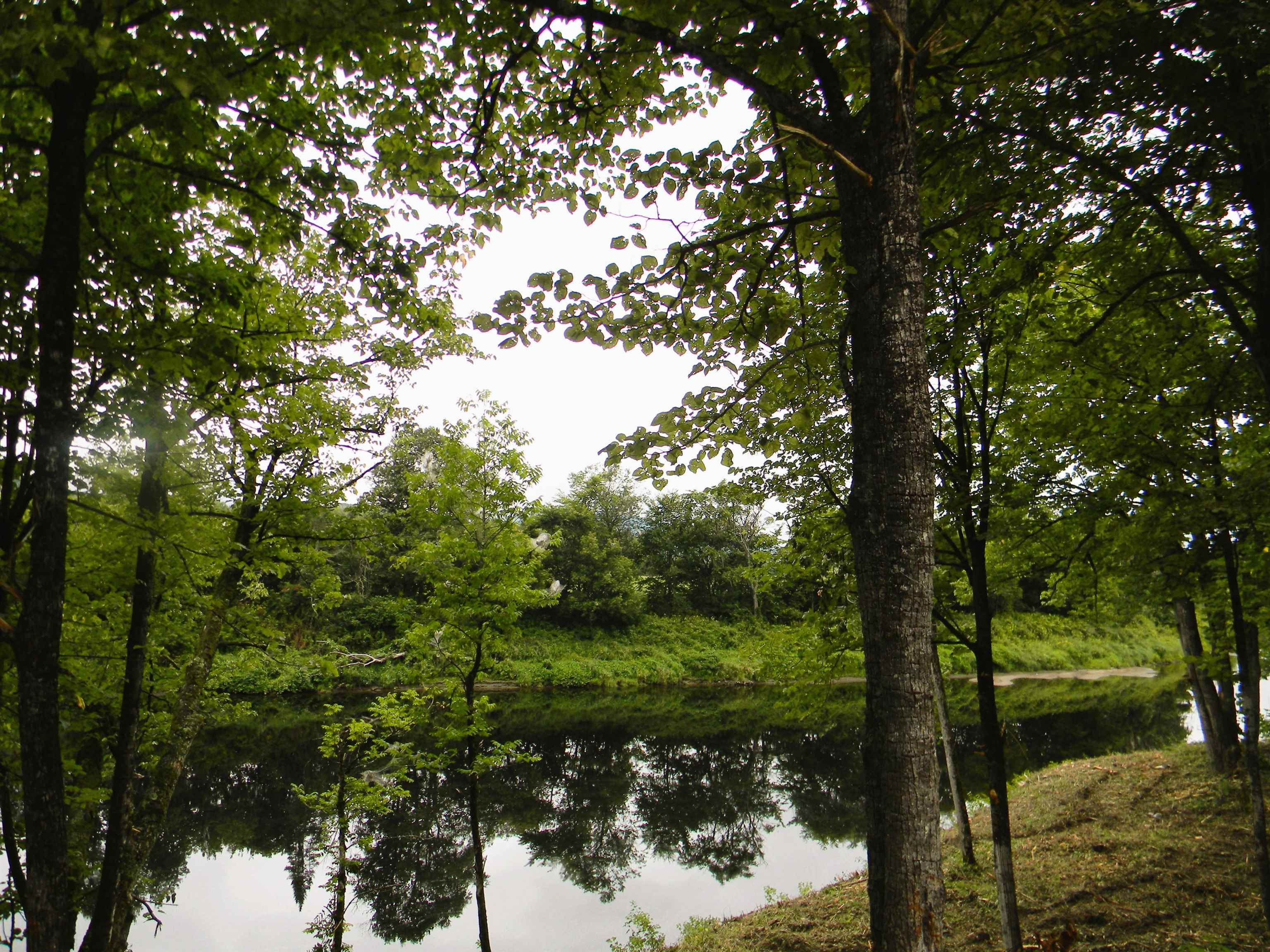 Land in Lancaster 5