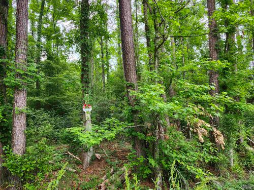 Lot 83 Baker Dr, Denham Springs, LA, 70726 | Card Image