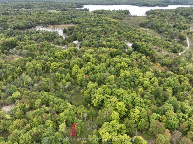 1147 Cronk Rd, Home with 0 bedrooms, 0 bathrooms and 4 parking in Parham ON | Image 9