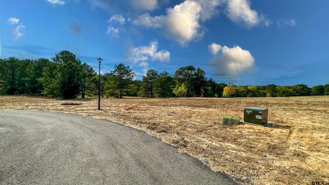 15588 Aniston Ln, Home with 0 bedrooms, 0 bathrooms and null parking in Flint TX | Image 44