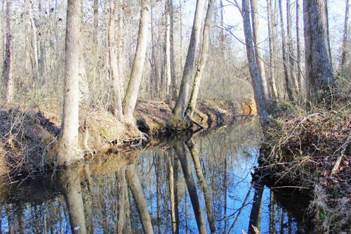 0 E Bivens Road, Quitman, AR, 72131 | Card Image