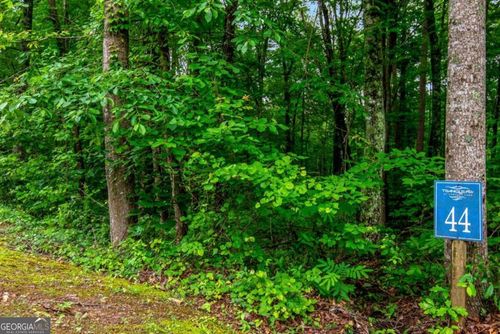 44-LOT 44 Harris Creek Dr, Ellijay, GA, 30540 | Card Image