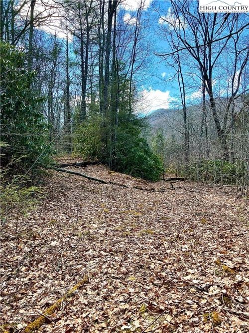 TBD Lot#43 Linville River Lane, Linville, NC, 28646 | Card Image