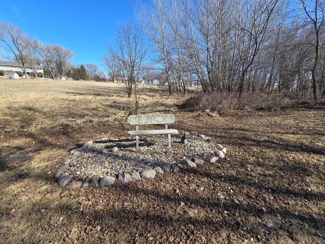 Decorative bench in backyard | Image 43