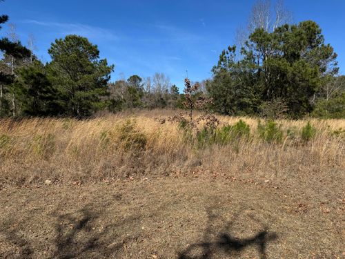 280 Lighthouse Ln, Green Pond, SC, 29446-5349 | Card Image