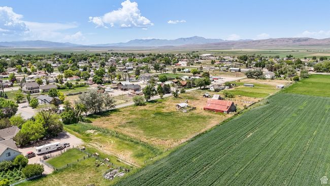 Overview of rural landscape with rows of crops and a mountain backdrop | Image 4