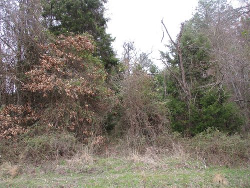 TBD Rains County Road 3040, Emory, TX, 75440 | Card Image