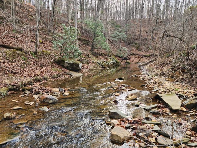 0 Pinecrest Dr, Home with 0 bedrooms, 0 bathrooms and null parking in MADISON HEIGHTS VA | Image 8