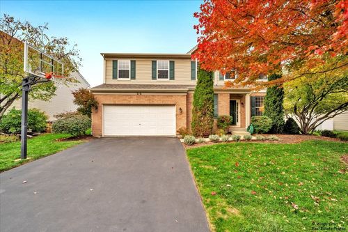 316 Gregory M Sears Dr, Gilberts, IL, 60136-4051 | Card Image