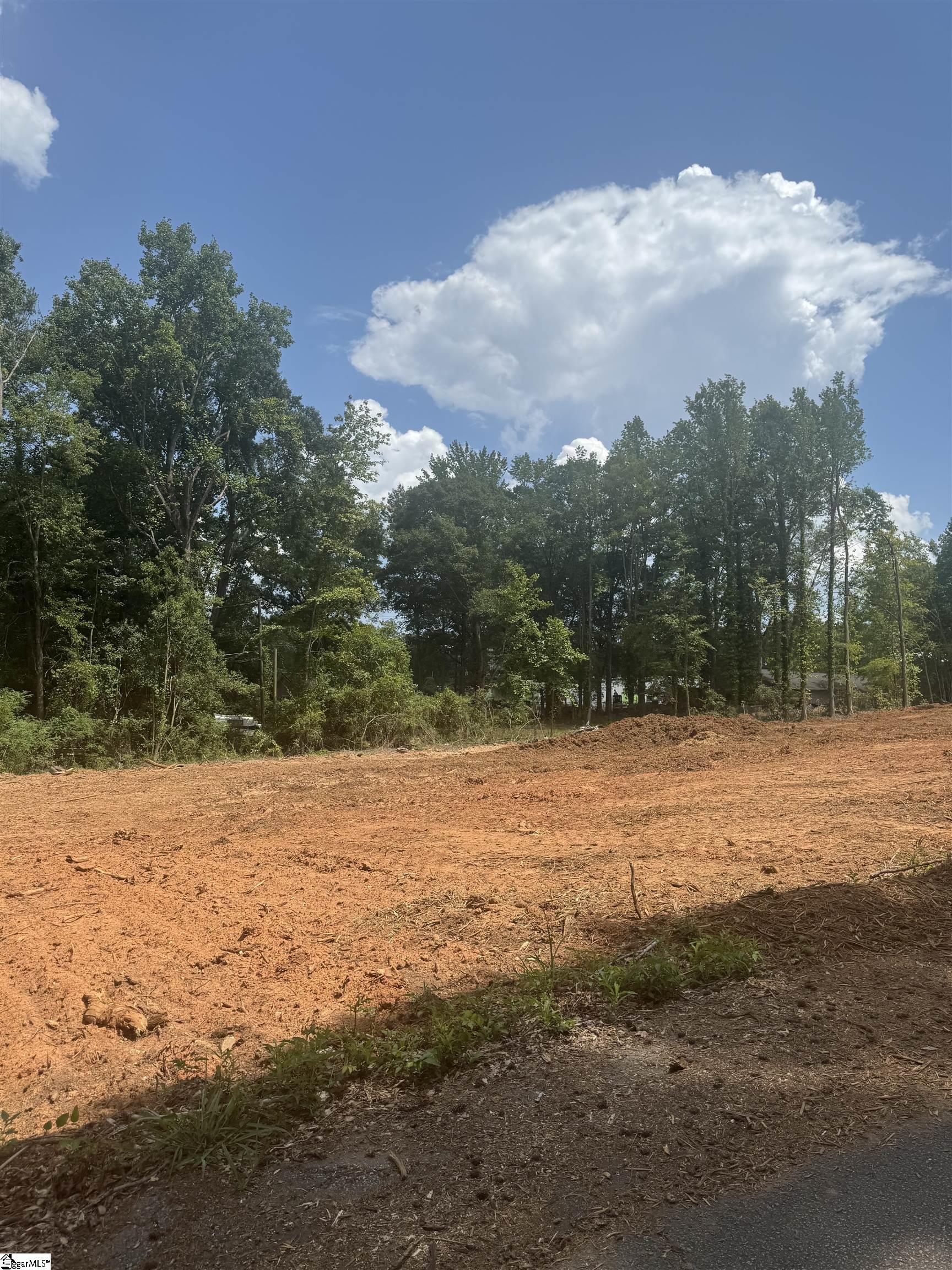 Land in Anderson 5