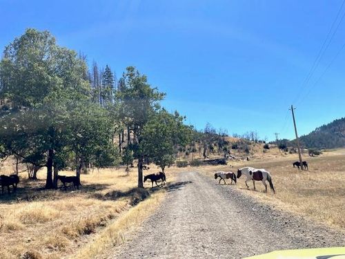 10001 Ruth-Zenia Road, Hettenshaw, CA, 95511 | Card Image