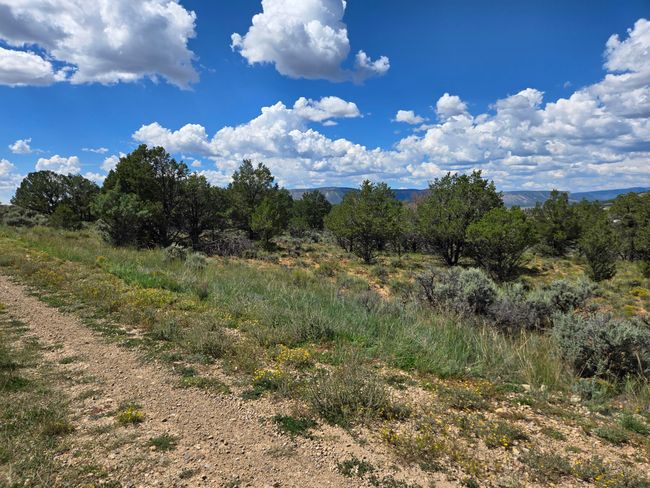 Unit 10 Tract 243 El Vado Lake Subd., Home with 0 bedrooms, 0 bathrooms and null parking in Tierra Amarilla NM | Image 8