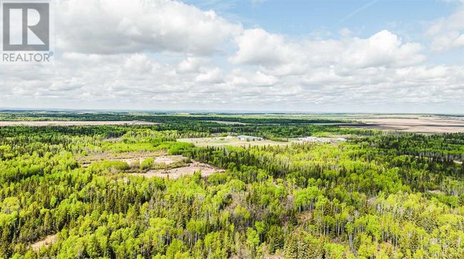 98196 Highway 681, Home with 0 bedrooms, 0 bathrooms and null parking in Rural Saddle Hills County AB | Image 21