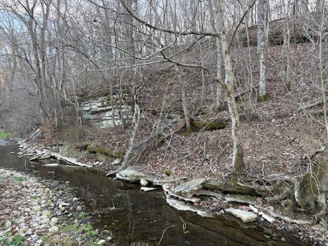 Land in Highlandville 5