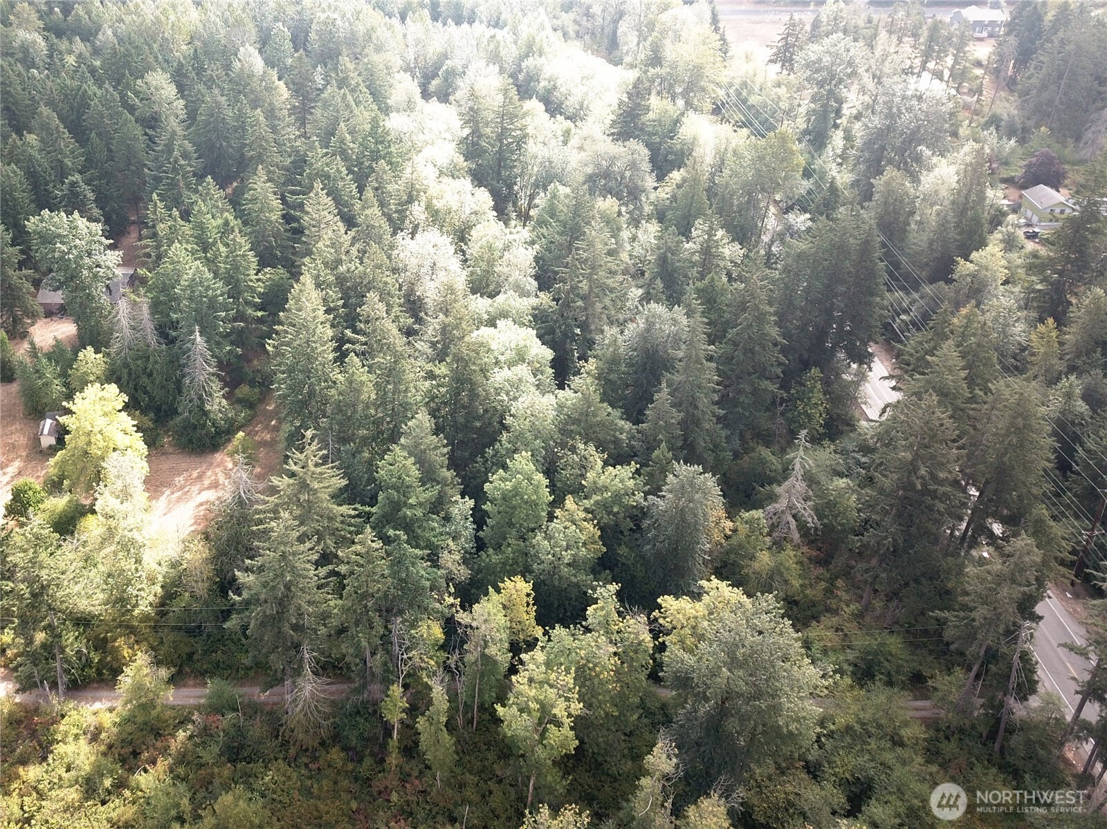 Land in Spanaway 3