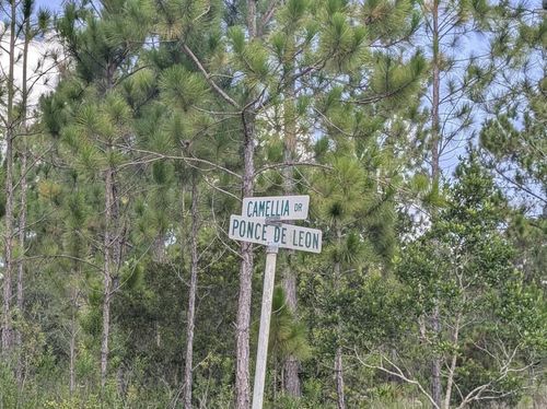 401 Camellia Dr, Indian Lake Estates, FL, 33855 | Card Image