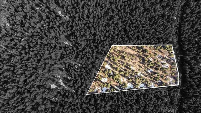 270 Tomahawk Trl, Home with 0 bedrooms, 0 bathrooms and null parking in Fortine MT | Image 18