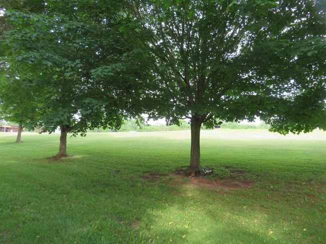 APT-1 - 714 #1 Kiwanis Dr, Condo with 2 bedrooms, 1 bathrooms and null parking in Freeport IL | Image 23