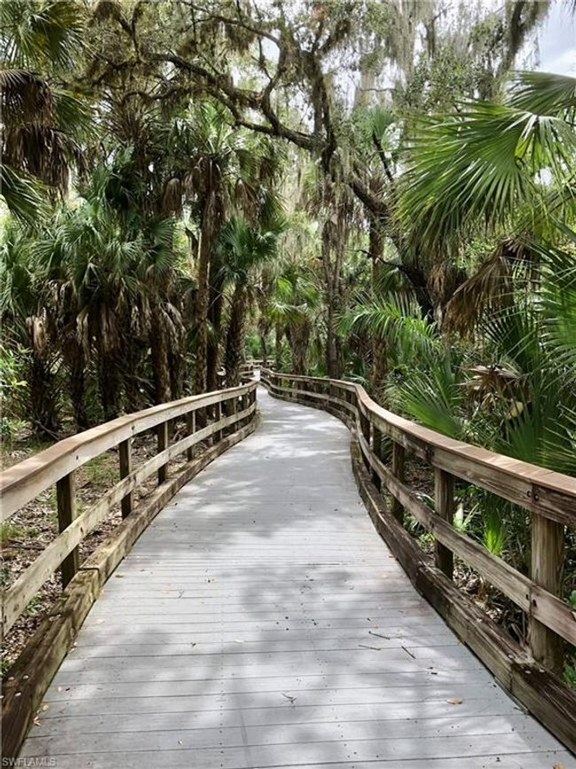 Boardwalk which is part of 9 miles of trails | Image 48