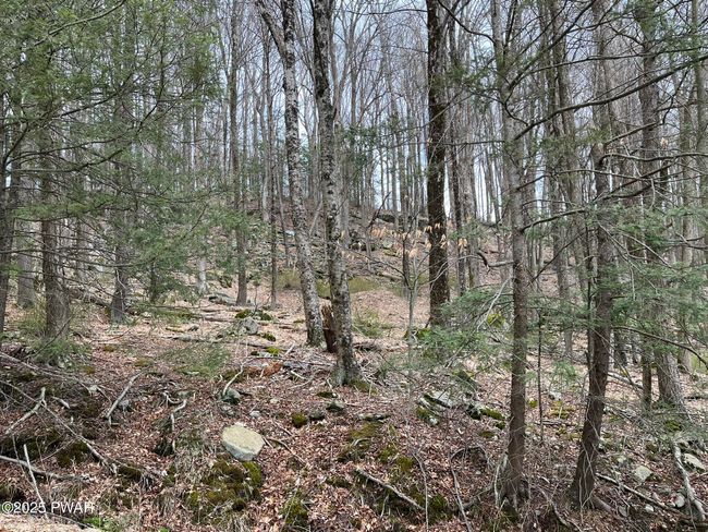 Lot View | Image 4