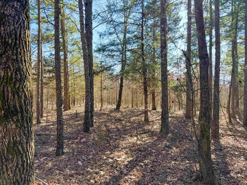 100 Guy Ln, Quitman, AR, 72131 | Card Image