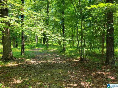 22-1401 Sardis Rd, Gardendale, AL, 35071-4804 | Card Image