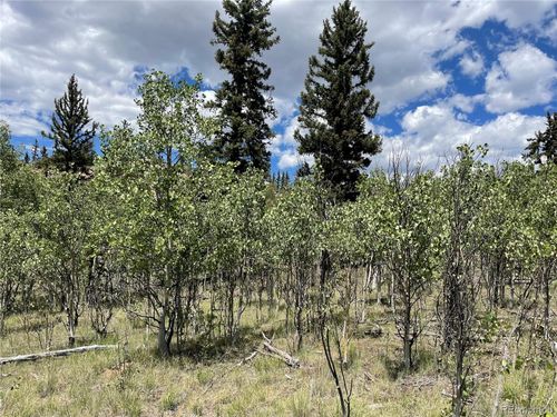 771 Teton Trl, Como, CO, 80432 | Card Image